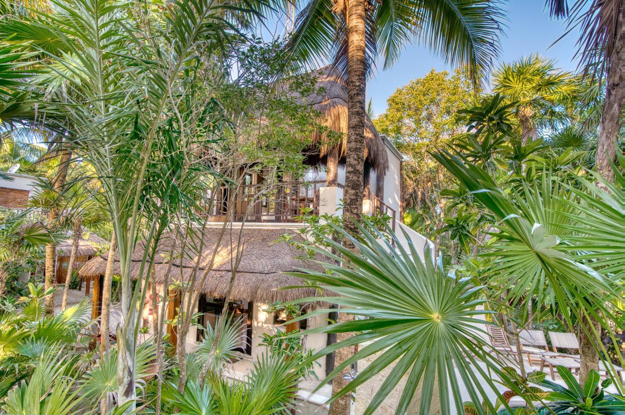 Tulum Luxury Collection Otel Oda fotoğraf